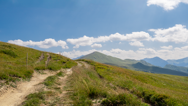 Tobillera para senderismo y trail